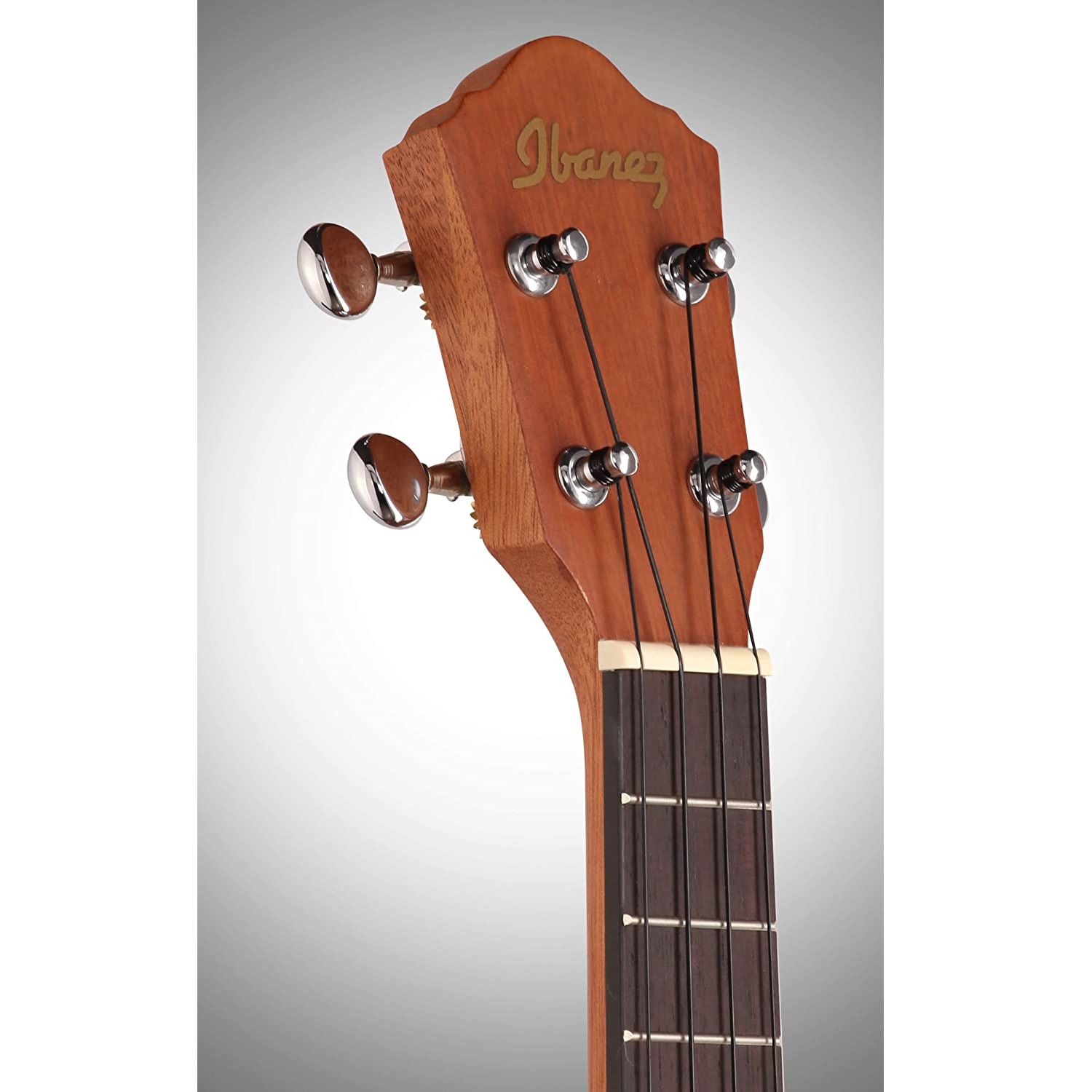 Ibanez UKC10 Concert Ukulele with Gig Bag