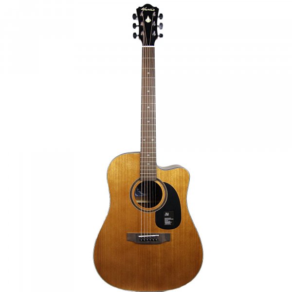 Buy Mantic AG2c Acoustic Guitar | Azad Music