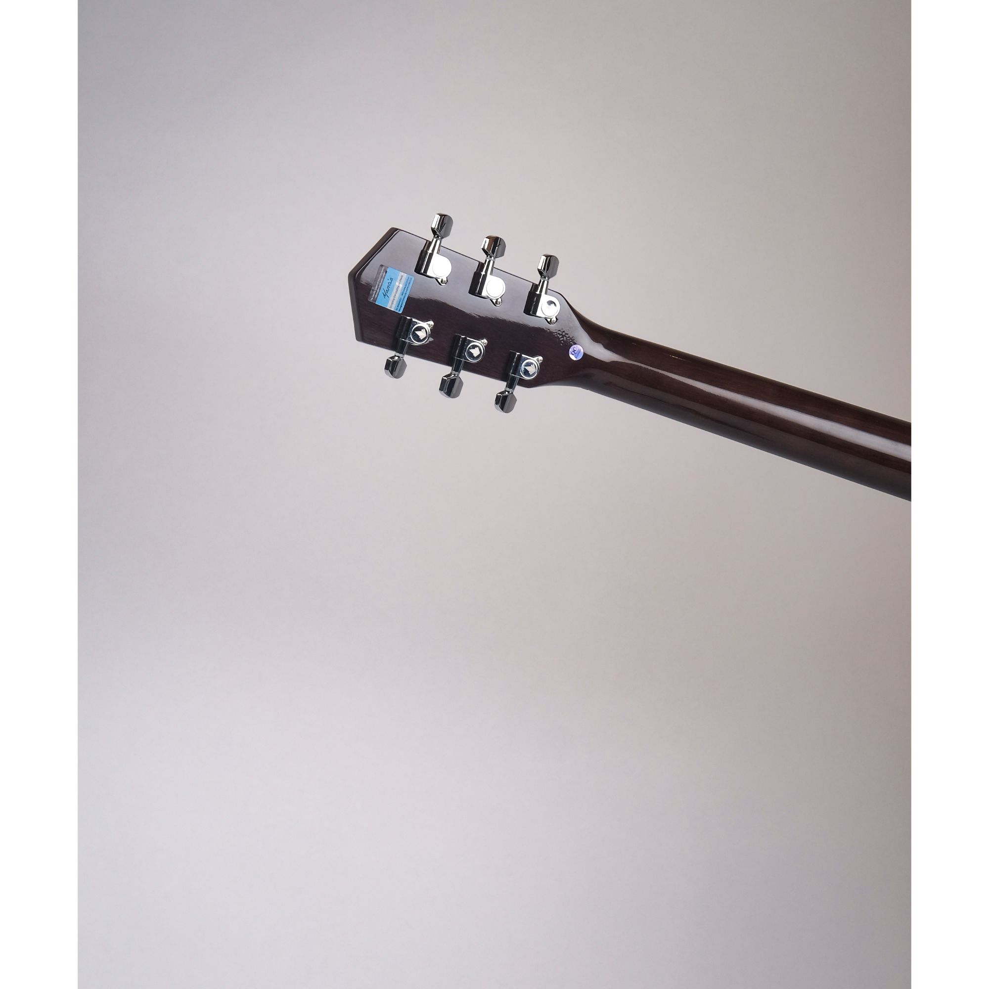 Mantic X310C Acoustic Guitar - Natural
