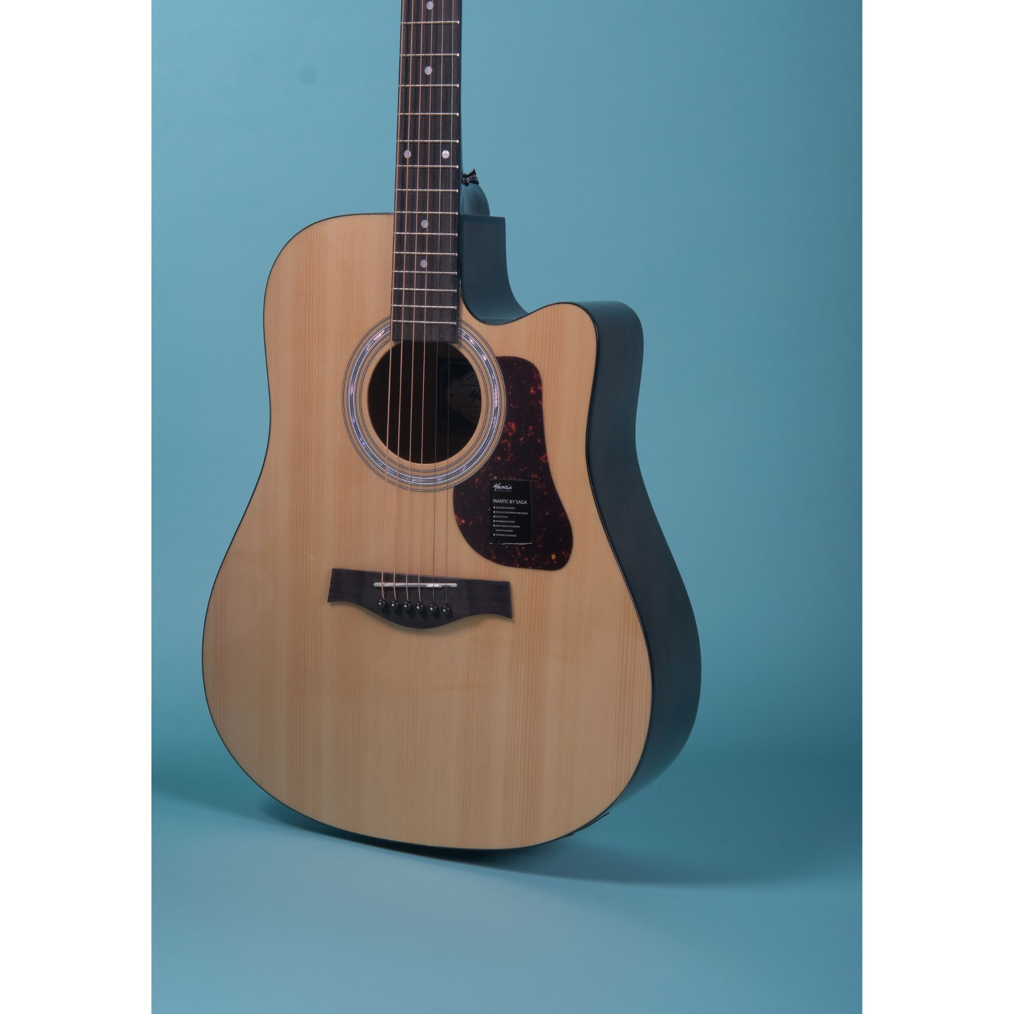 Mantic X310CE Semi-Acoustic with Fishman Electronics - Natural