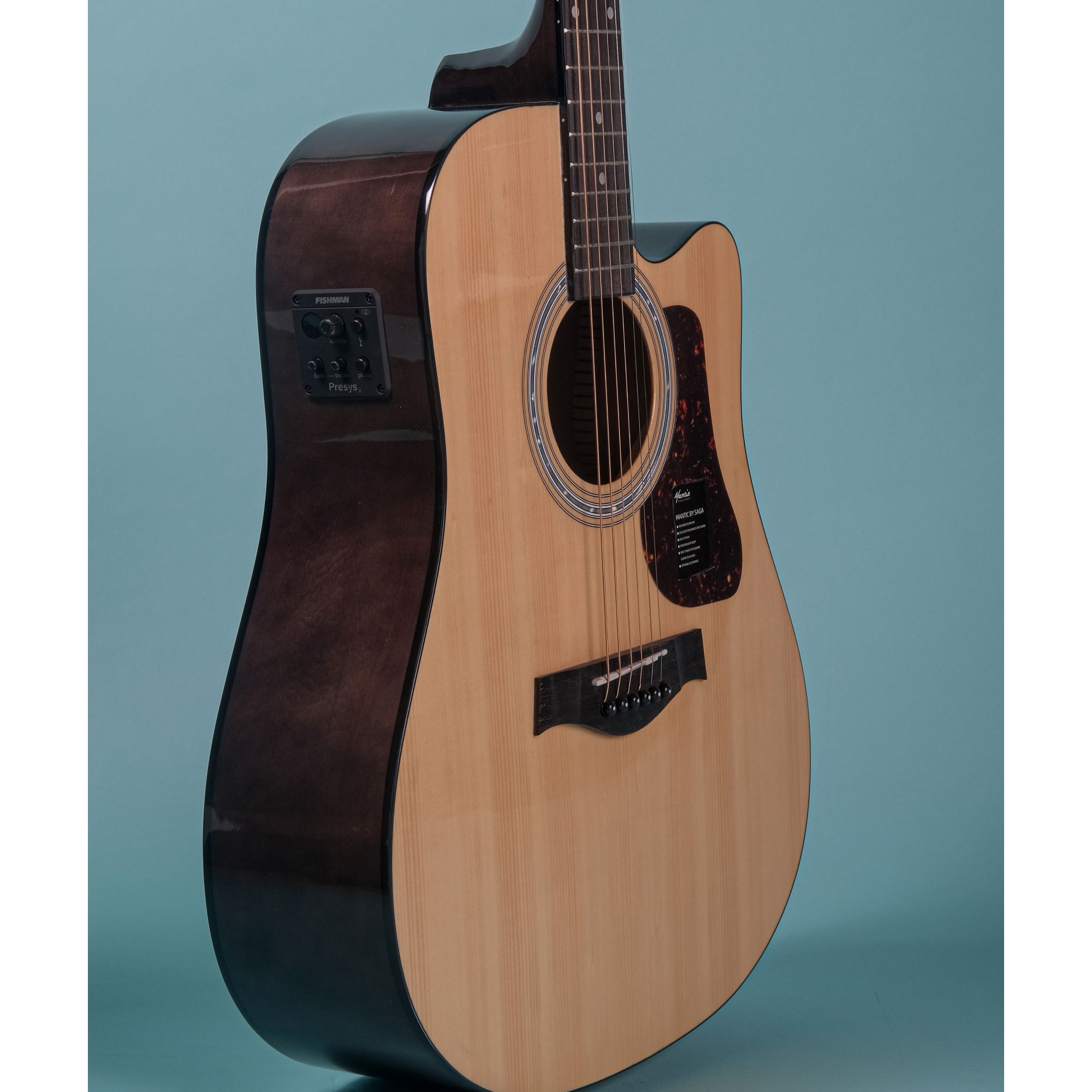 Mantic X310CE Semi-Acoustic with Fishman Electronics - Natural