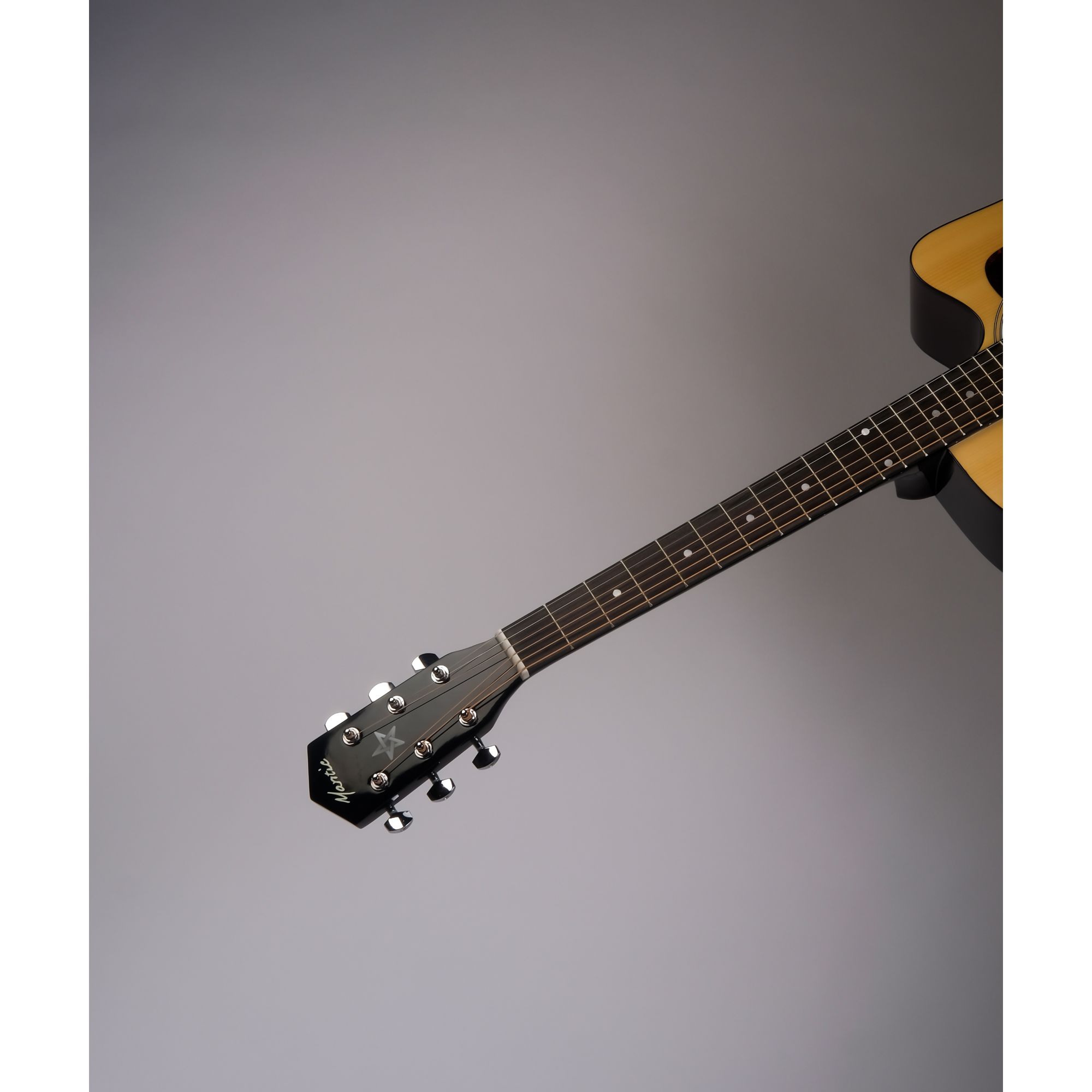 Mantic X310CE Semi-Acoustic with Fishman Electronics - Natural