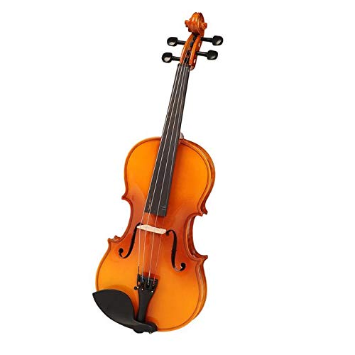 Havana MV1412F Violin with Ebony Pegs