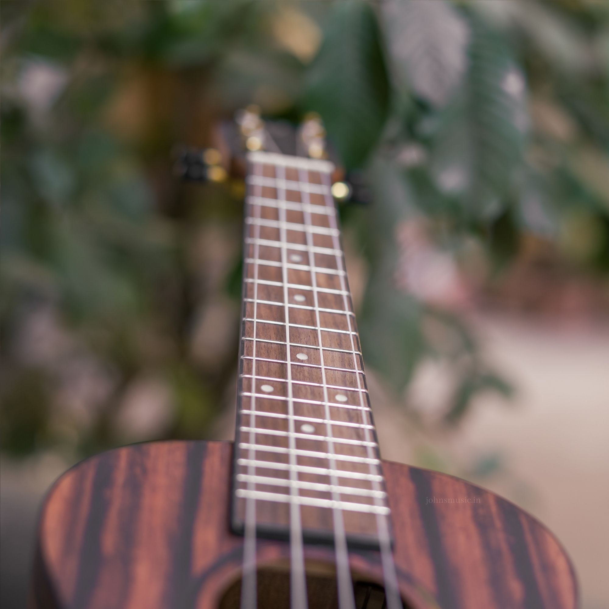 Ortega Timber Series Concert Size Ukulele Natural - RUEB-CC