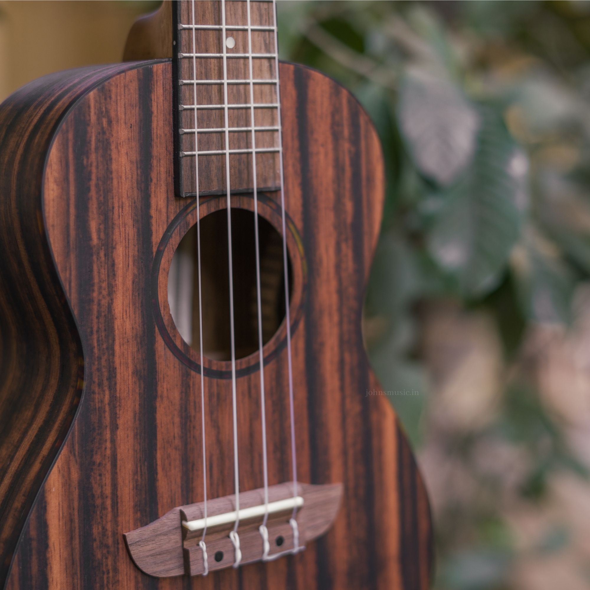 Ortega Timber Series Concert Size Ukulele Natural - RUEB-CC