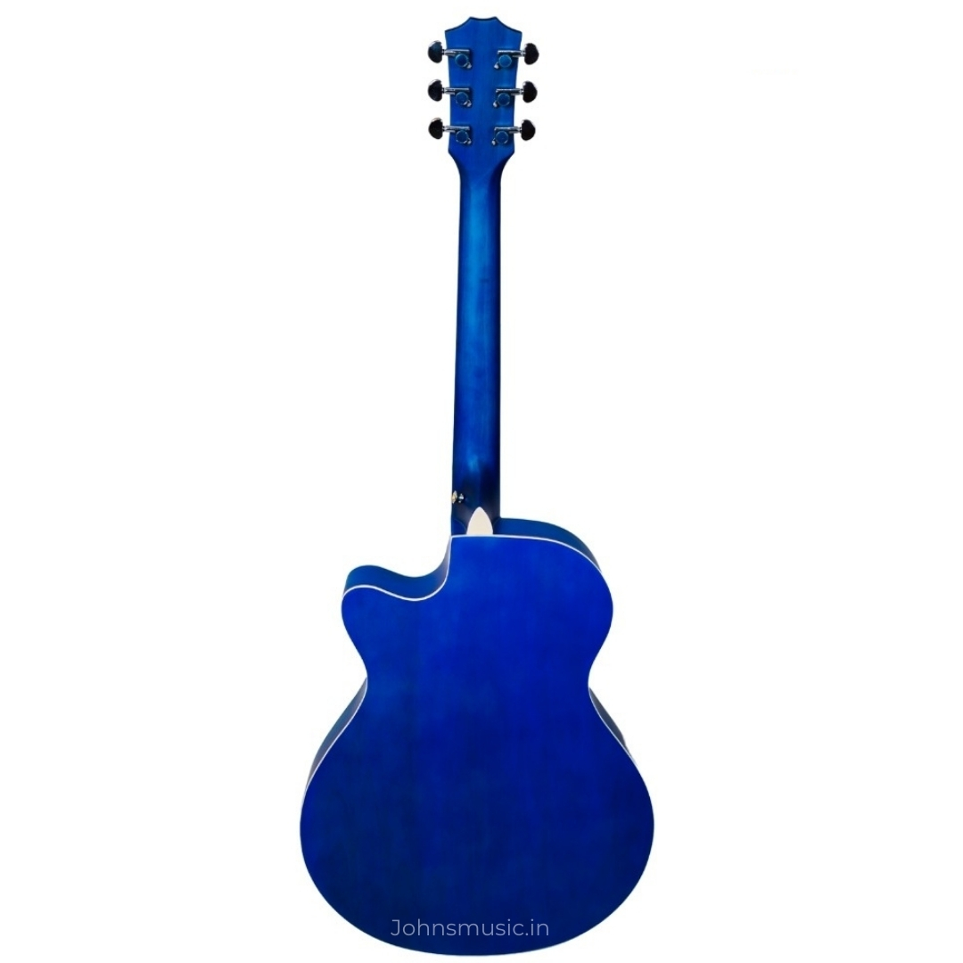 Richtone RT40C Matt Finish Acoustic Guitar