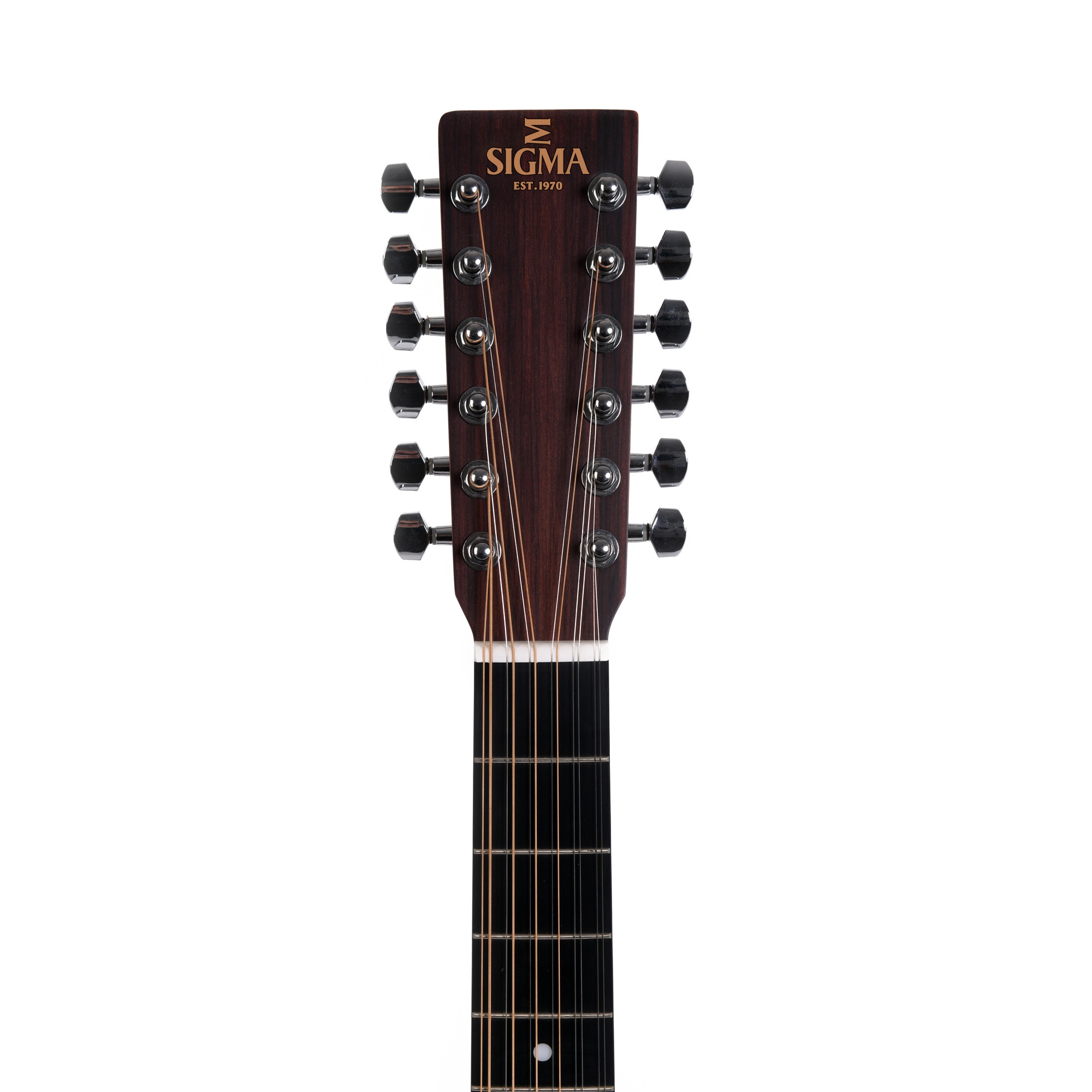 Sigma DM12E 12 String Acoustic Guitar