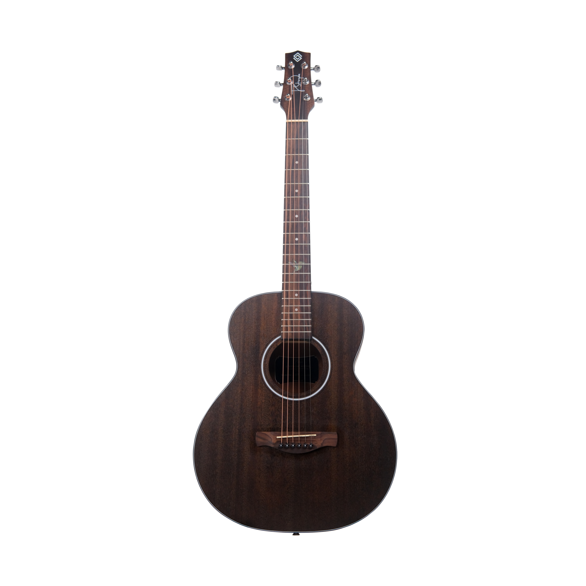 Strydom Voyager V336 NM - Travel guitar