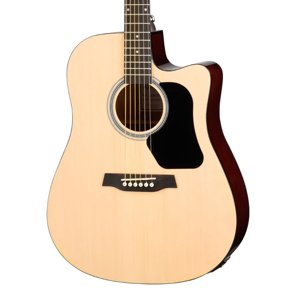Walden D350CE Dreadnought Acoustic Guitar