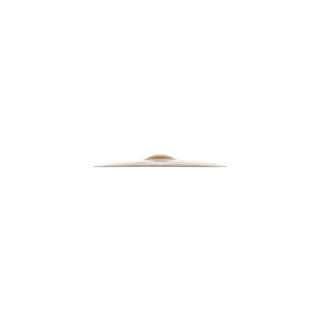 Zildjian 14 A Custom HiHats Top