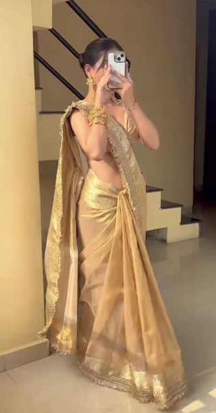 Banarasi tissue silk saree with designer lace