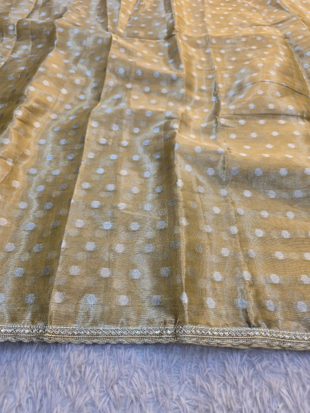 Banarasi Tissue Silk Saree