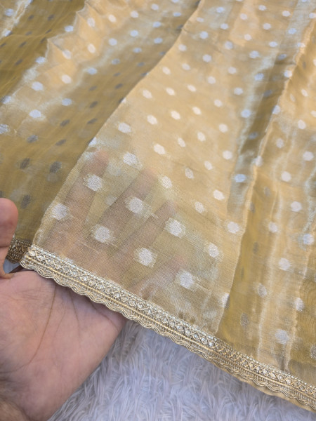 Banarasi Tissue Silk Saree