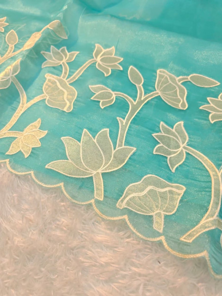 Banarasi Shimmer Organza Silk Saree