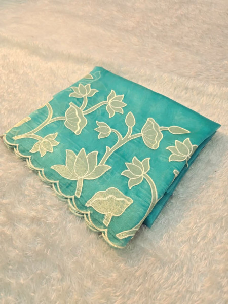 Image of Banarasi Shimmer Organza Silk Saree