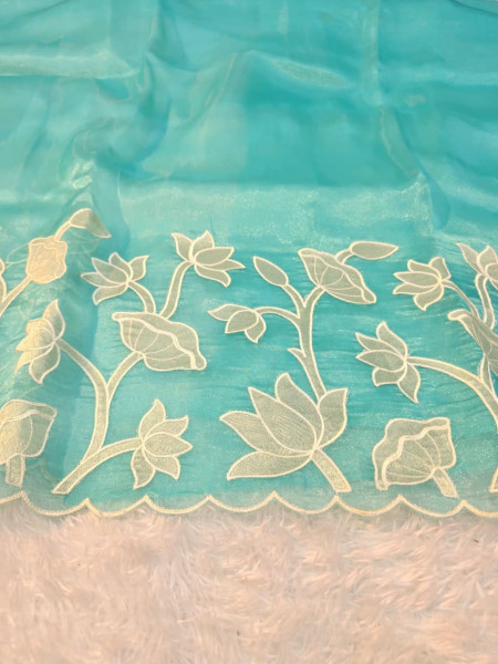 Banarasi Shimmer Organza Silk Saree