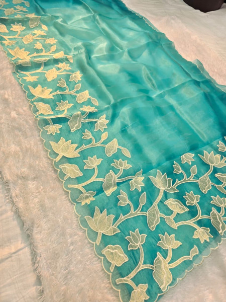 Banarasi Shimmer Organza Silk Saree
