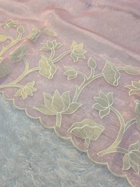 Banarasi Shimmer Organza Silk Saree