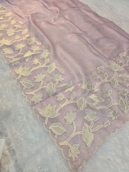 Image of Banarasi Shimmer Organza Silk Saree