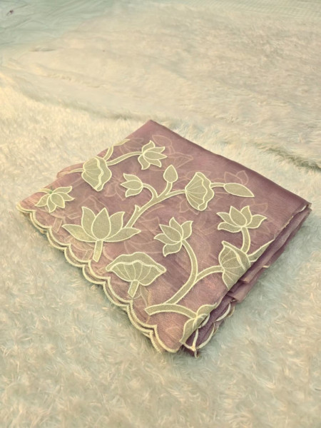 Banarasi Shimmer Organza Silk Saree