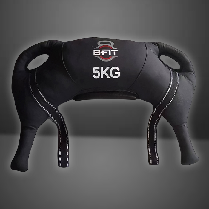 Weight Bags (Bulgarian/Training/Sand Bell/Ankle Wrist Weight)