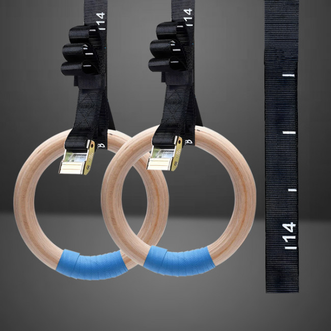 Olympic / Roman Rings