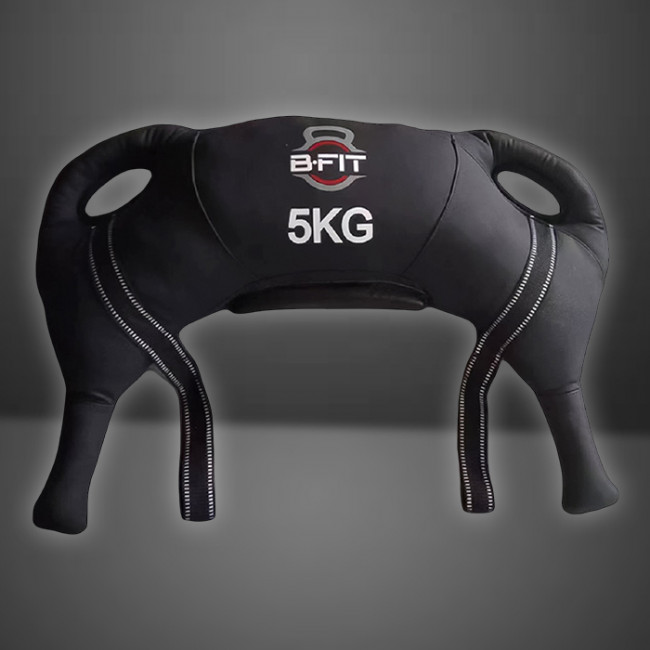 Weight Bags (Bulgarian/Training/Sand Bell/Ankle Wrist Weight)