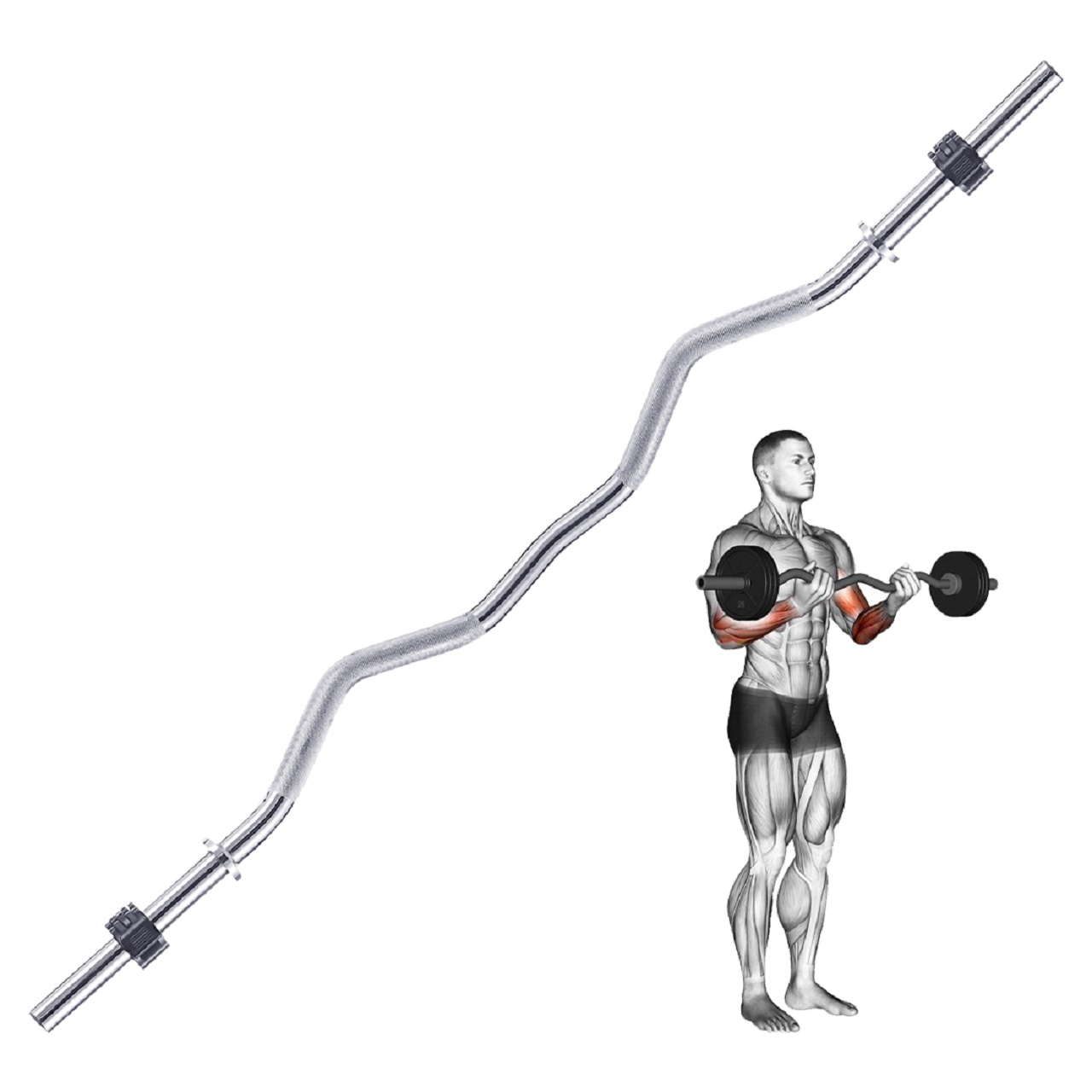 B Fit Weight Lifting EZ Curl Bar 4 Feet Dia 25 MM with Premium Collar pair