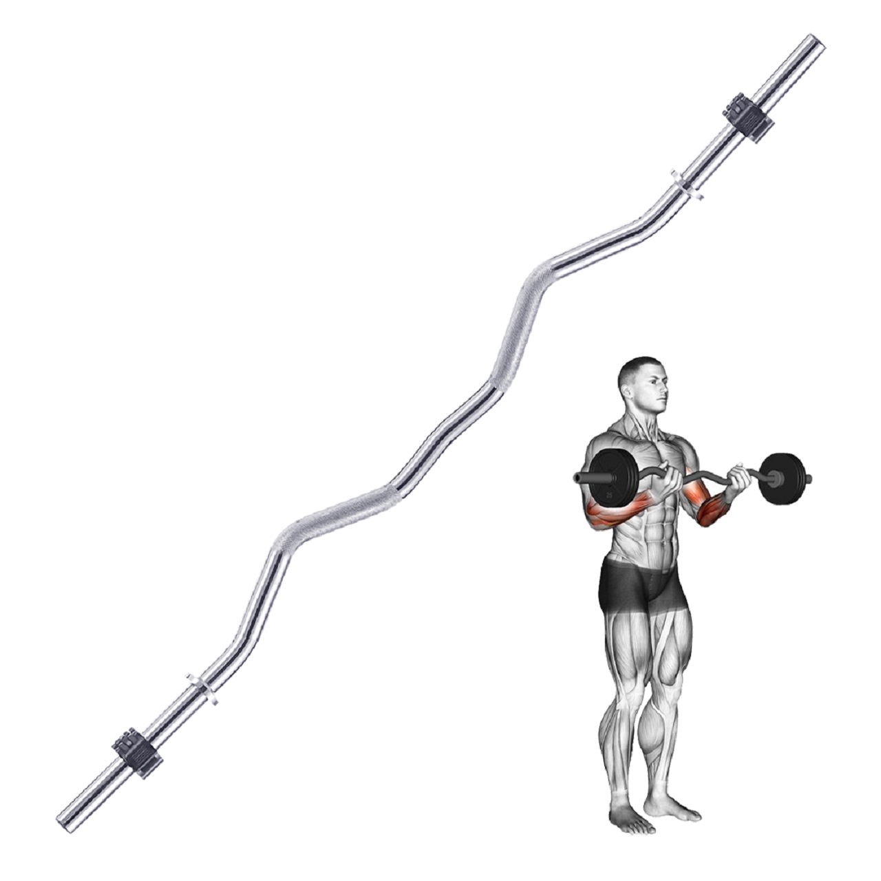 B Fit Weight Lifting EZ Curl Bar 3 Feet Dia 28 MM with Premium Collar pair