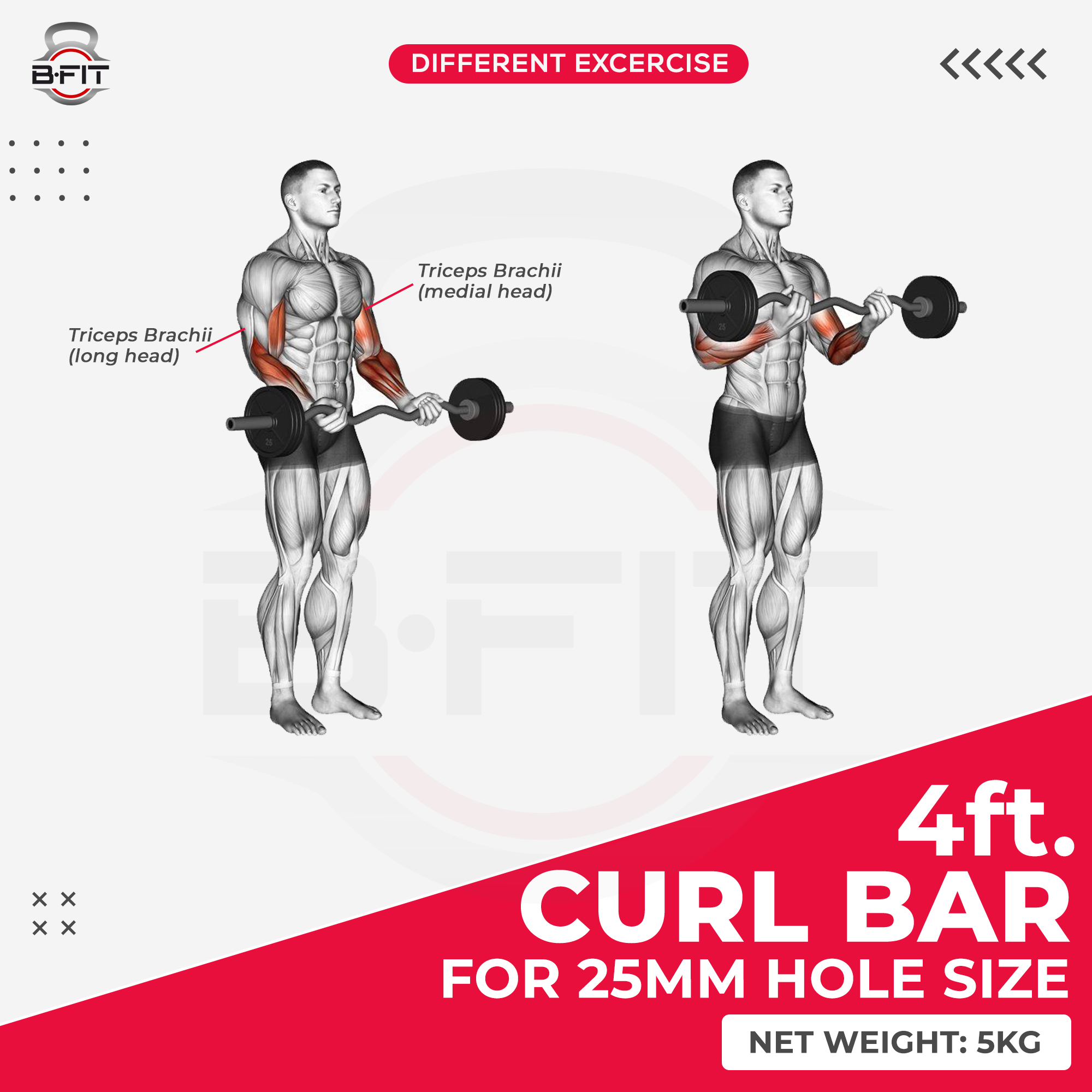 B Fit Weight Lifting EZ Curl Bar 4 Feet Dia 25 MM with Premium Collar pair