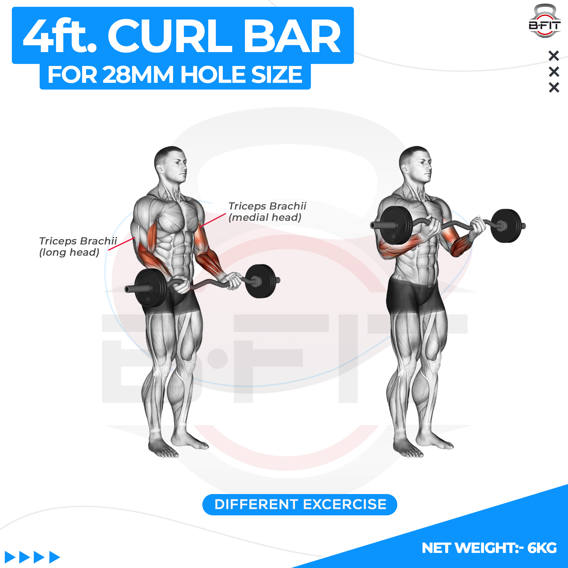 B Fit Weight Lifting EZ Curl Bar 4 Feet Dia 28 MM with Premium Collar pair