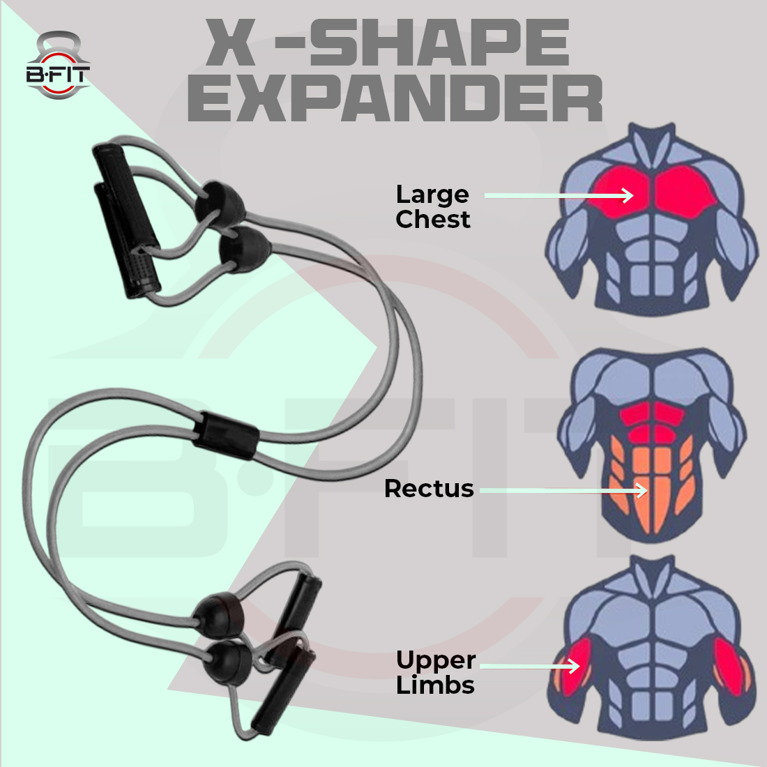 B Fit X -Shape ExpanderFitness eco-Friendly X- Shape Chest Expander