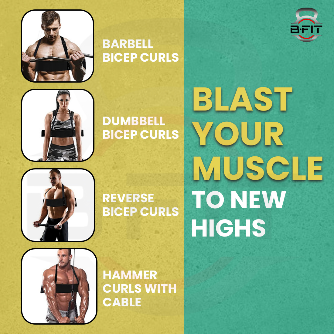 B Fit Arm Blaster Biceps Curl Triceps Muscle Isolator Bomber Fitness Gym Workout Training Support