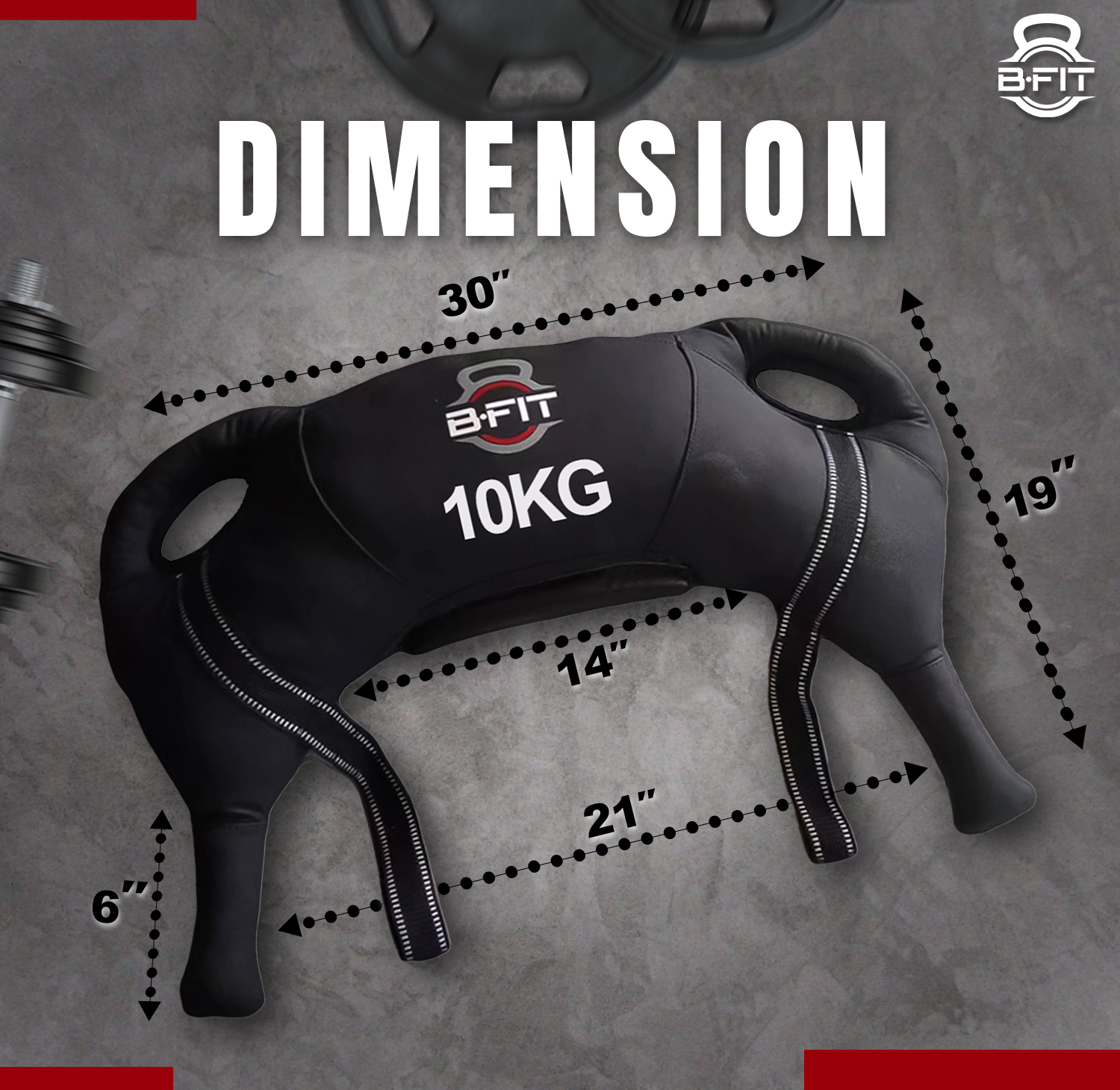 B Fit Upgraded Bulgarian Bag 10 Kg for Fitness Gym Training Cross fit Wrestling Judo Grappling MMA Full Body Workout