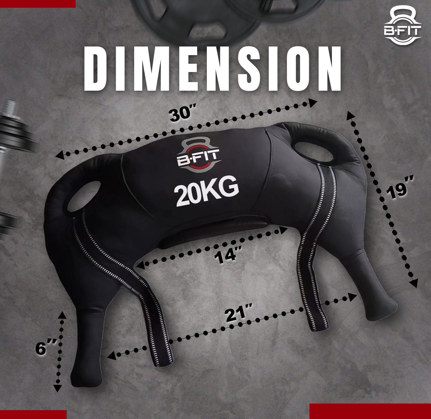 B Fit Upgraded Bulgarian Bag 20 Kg for Fitness Gym Training Cross fit Wrestling Judo Grappling MMA Full Body Workout