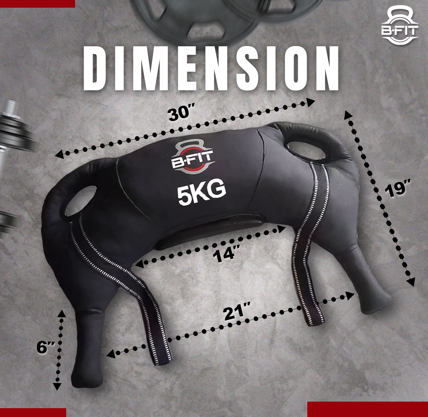 B Fit Upgraded Bulgarian Bag 5 Kg for Fitness Gym Training Cross fit Wrestling Judo Grappling MMA Full Body Workout