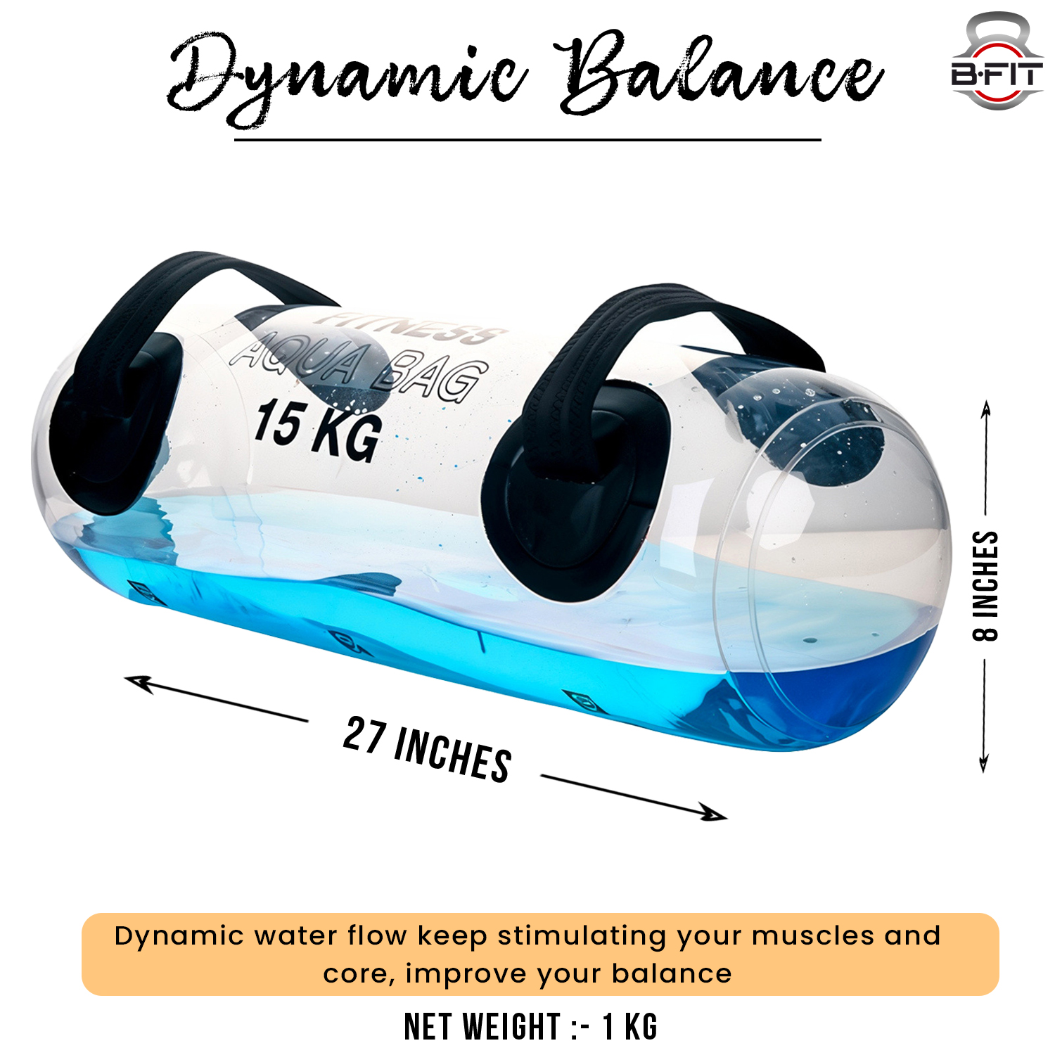 B Fit Aqua Weight Bags for Full Body Training Challenge Weight Bag - Substitute for Sandbag