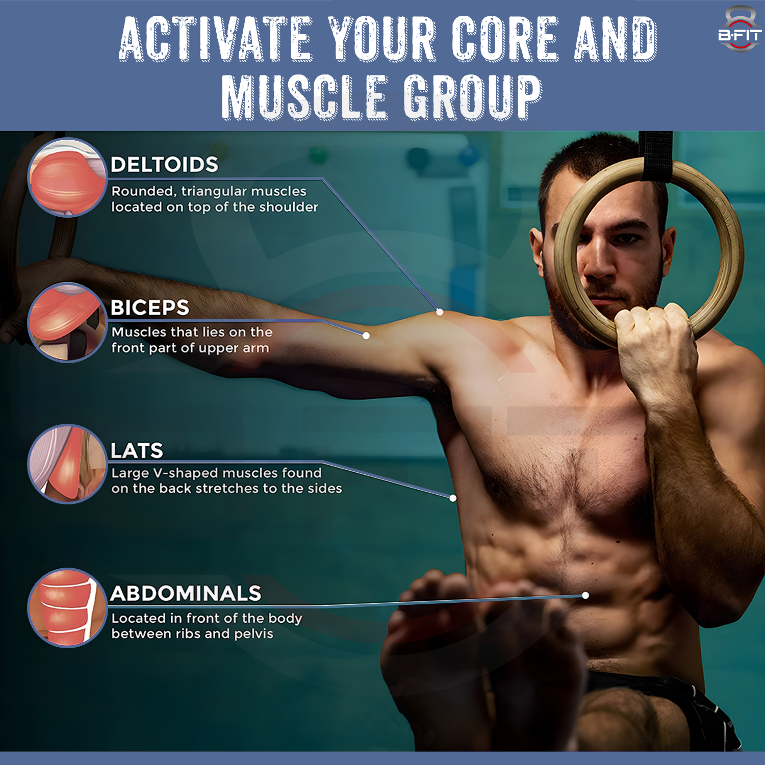 B Fit Gymnastic Rings Roman Rings Olympic Gym Wooden Rings with Heavy Duty Adjustable Straps for GymCross TrainingStrength TrainingPull Ups and Dips