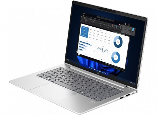 HP ProBook 445 14 inch G10 Notebook