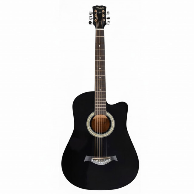 Category Alt Acoustic Guitar Under 5000