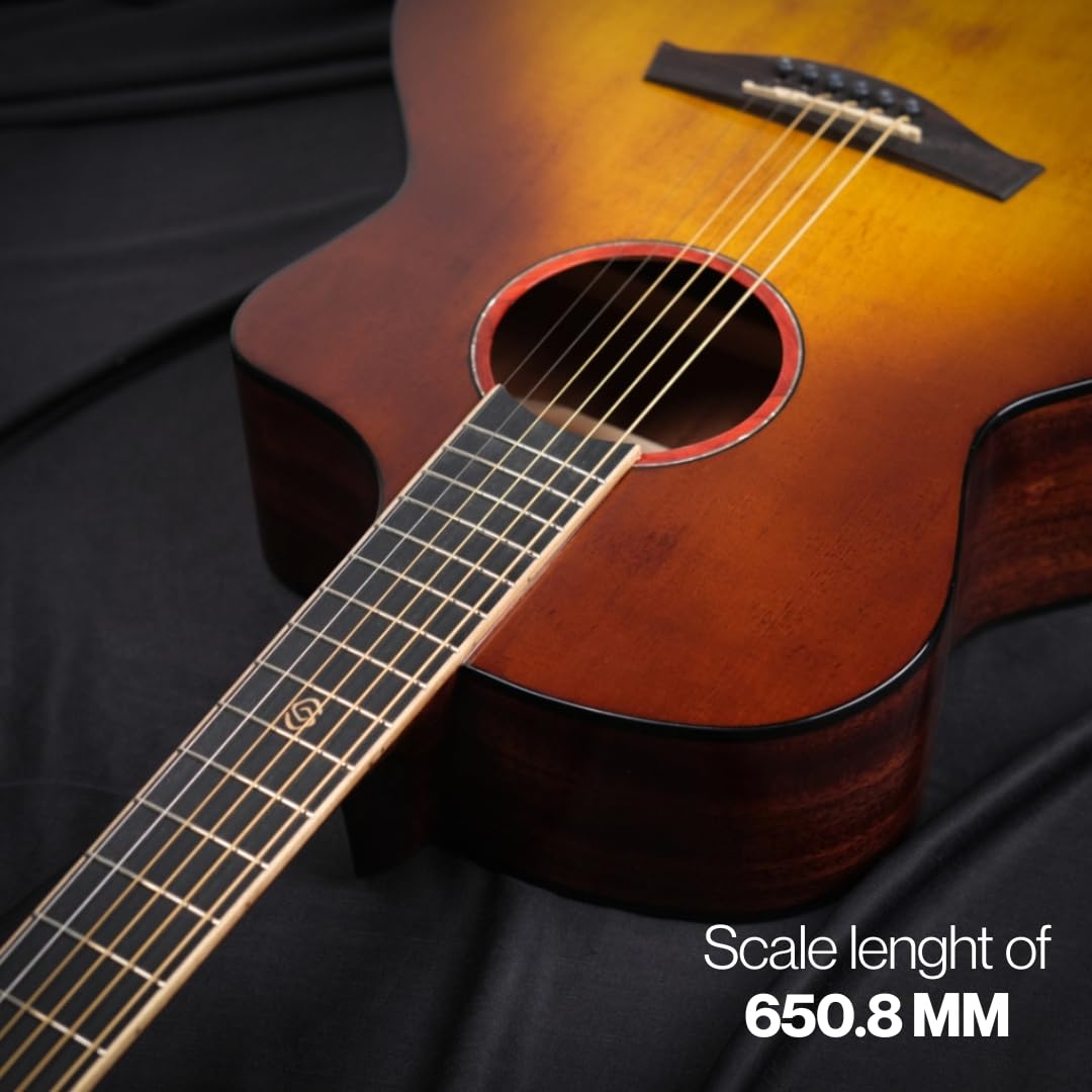 F240C Acoustic Guitar – Auditorium Cutaway Body, Mahogany Top & Back, Rosewood Fingerboard, 20 Frets, Coated Strings (Tobacco gloss)