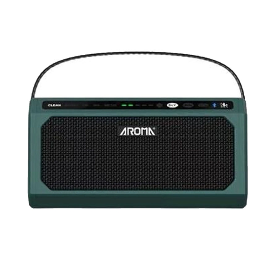Aroma TG08 Portable Electric Guitar Amplifier