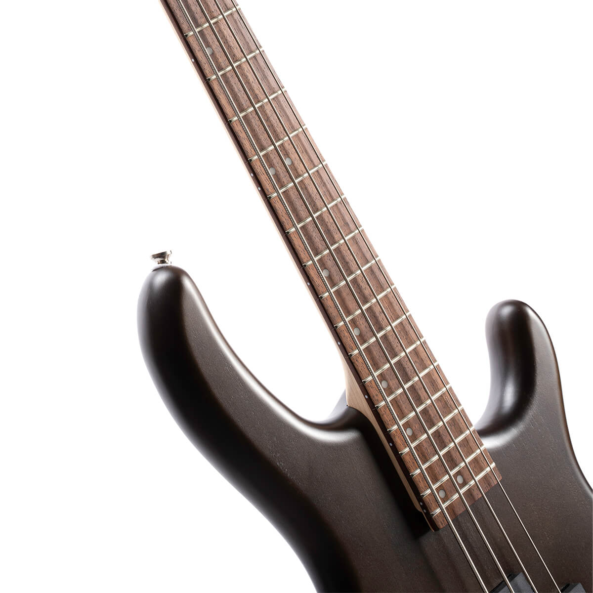 Cort Action PJ BASS GUITAR