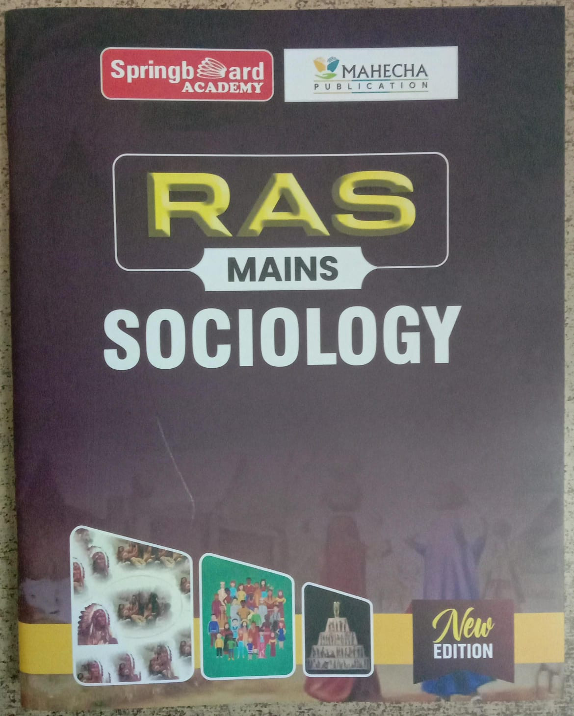 spring board sociology