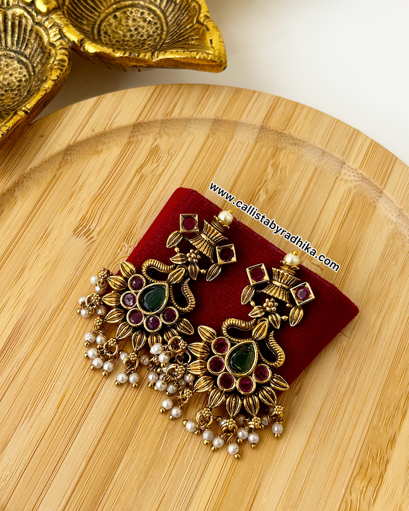 Image of Gold Polish Earrings