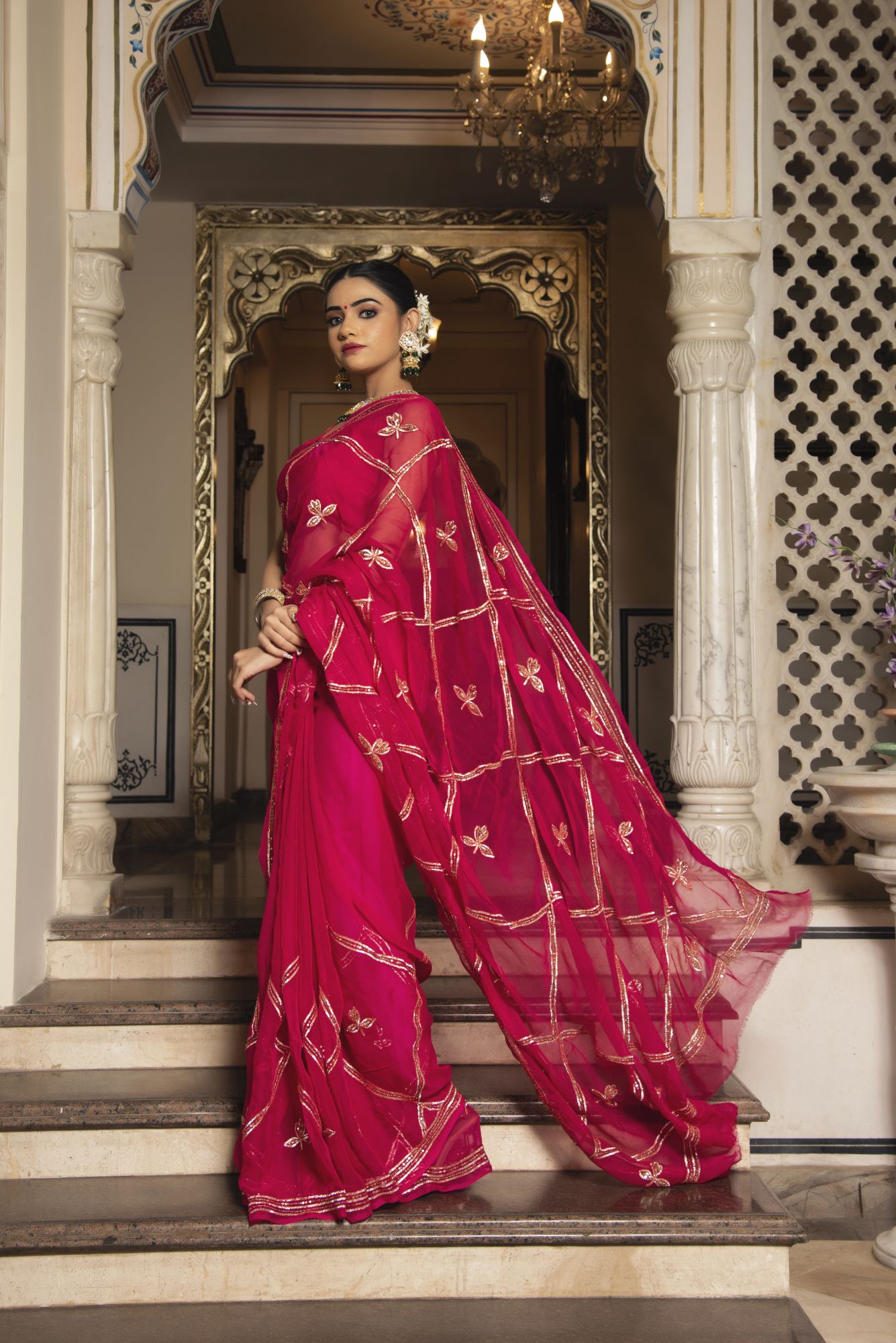 Royal Rani Pink Chiffon Handwork Saree