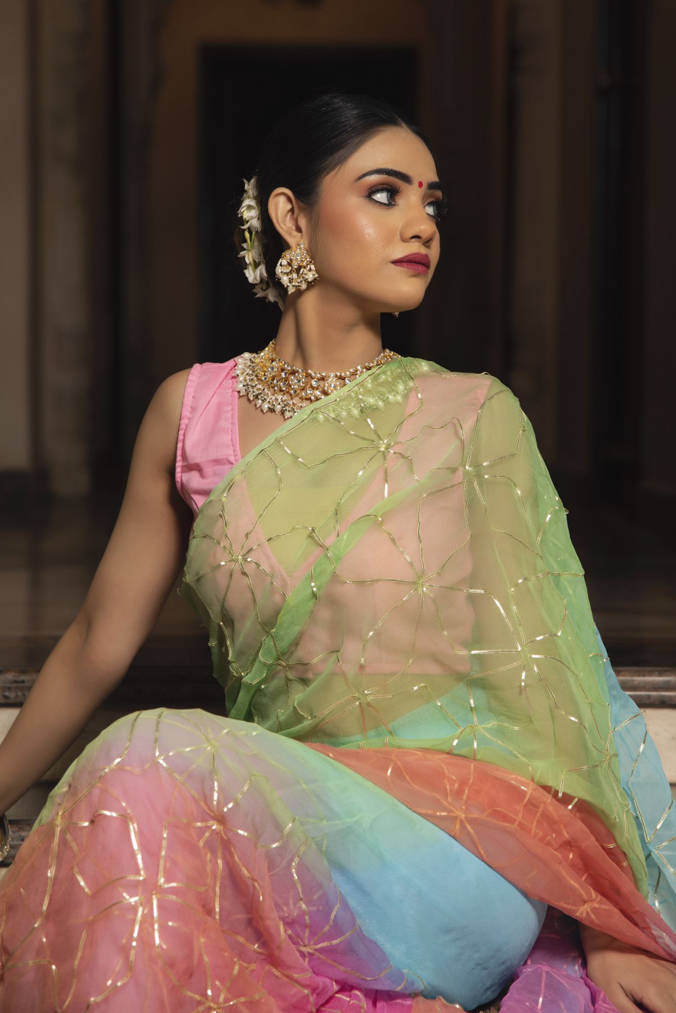 Multisky Gotapatti Pure Chiffon Saree