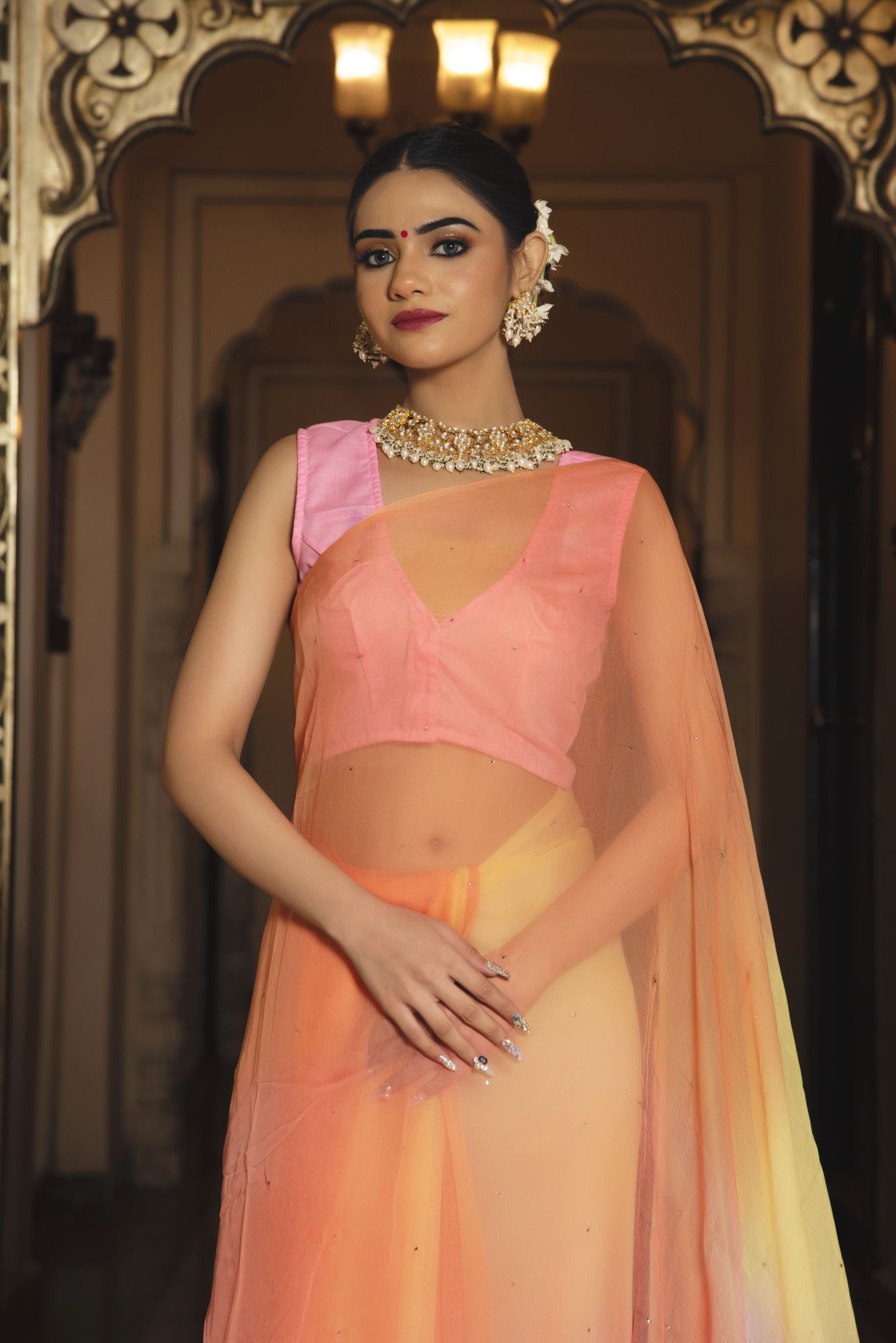 Elegant Pure Chiffon Saree