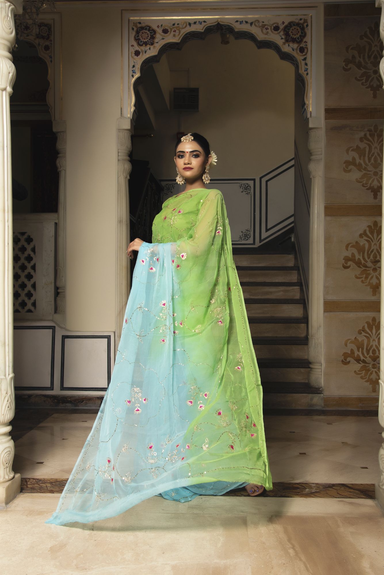 Parrot Blue Pure Chiffon Handwork Saree
