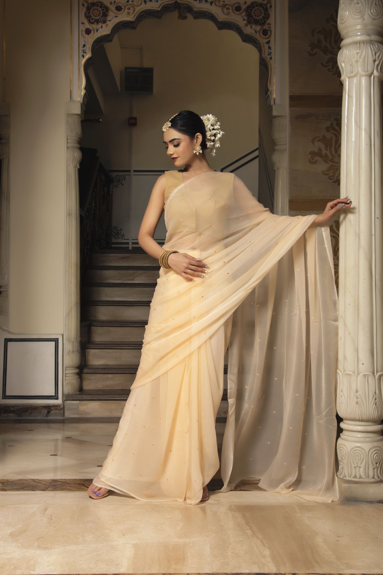 Royal Beige Pure Chiffon Handwork Saree